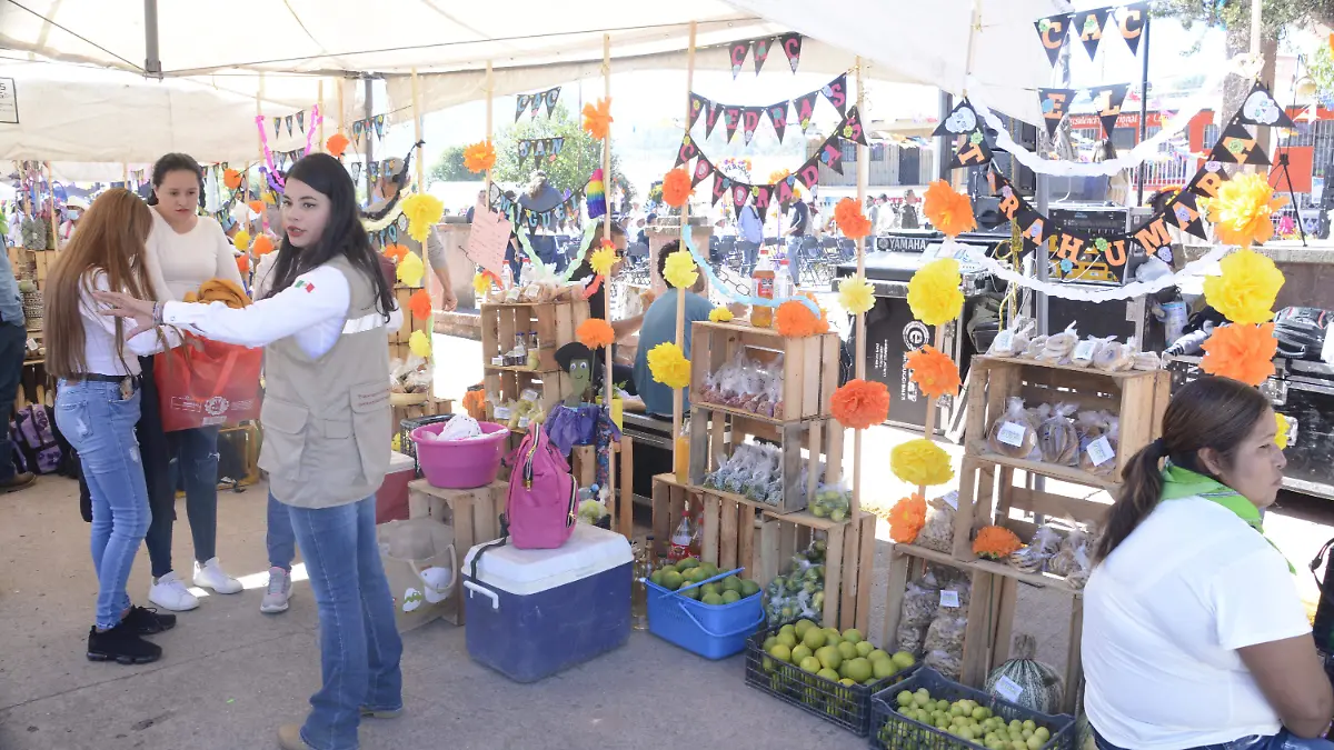 FERIA PRODUCTORES CEROCAHUI 